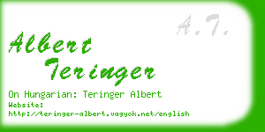 albert teringer business card